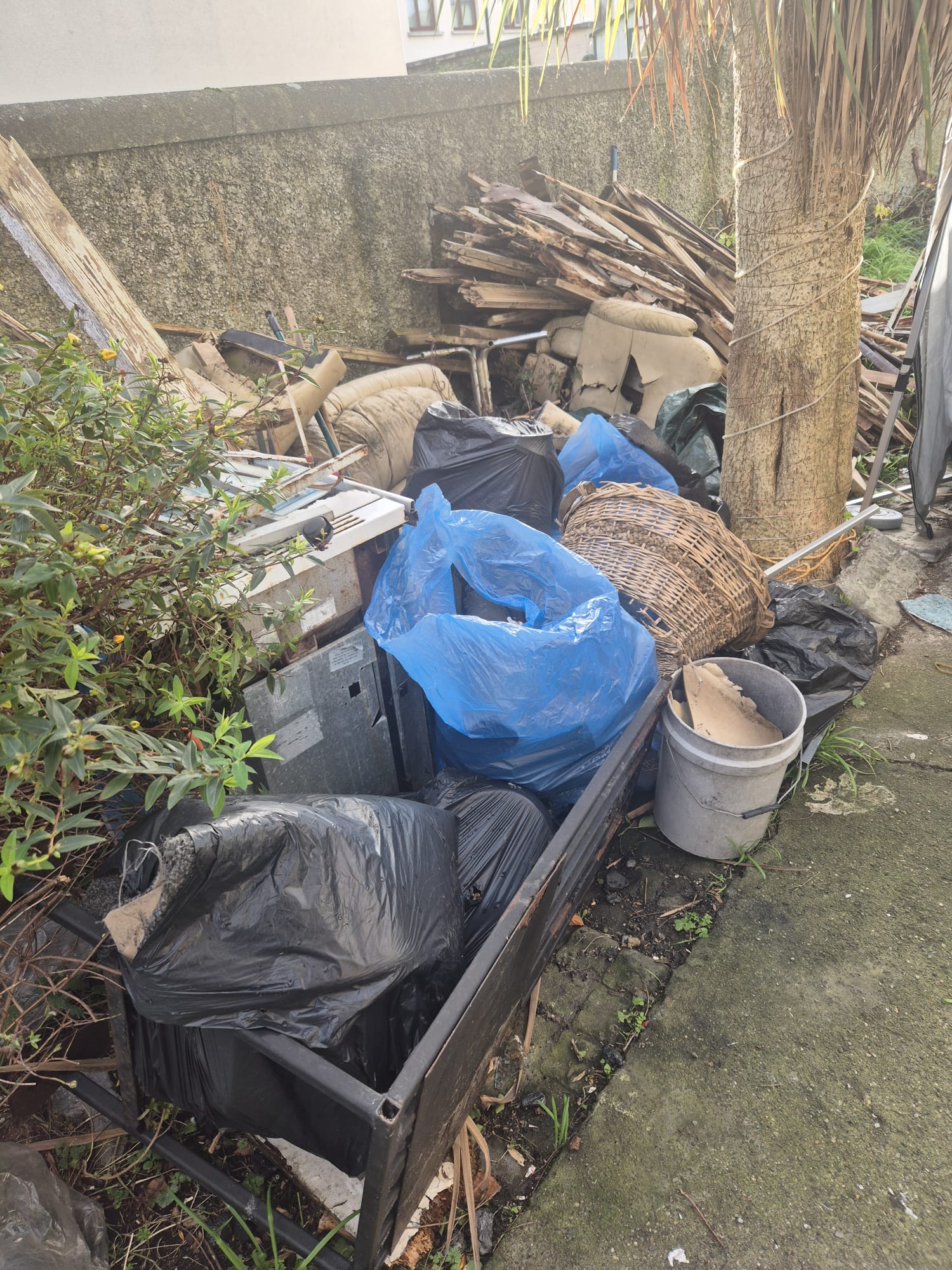 Benefits of Professional House and Garden Clearance Services