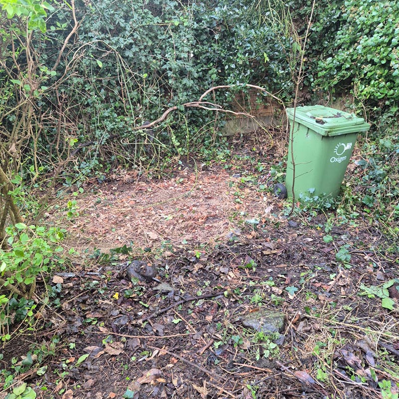 junk-master-dublin-old-shed-removals-after