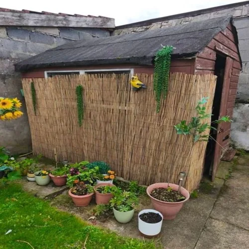 Old Sheds Removal
