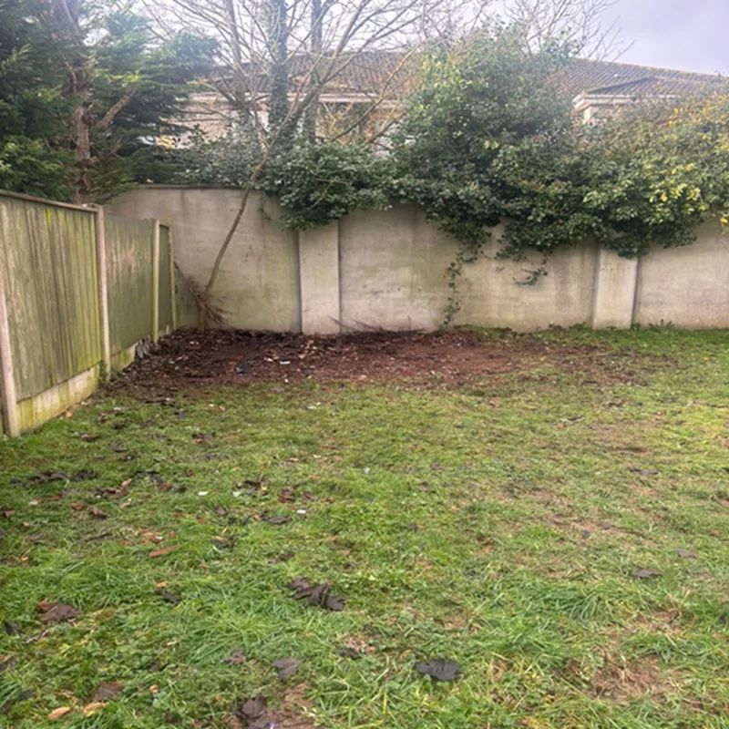 junk movers dublin replacement 4