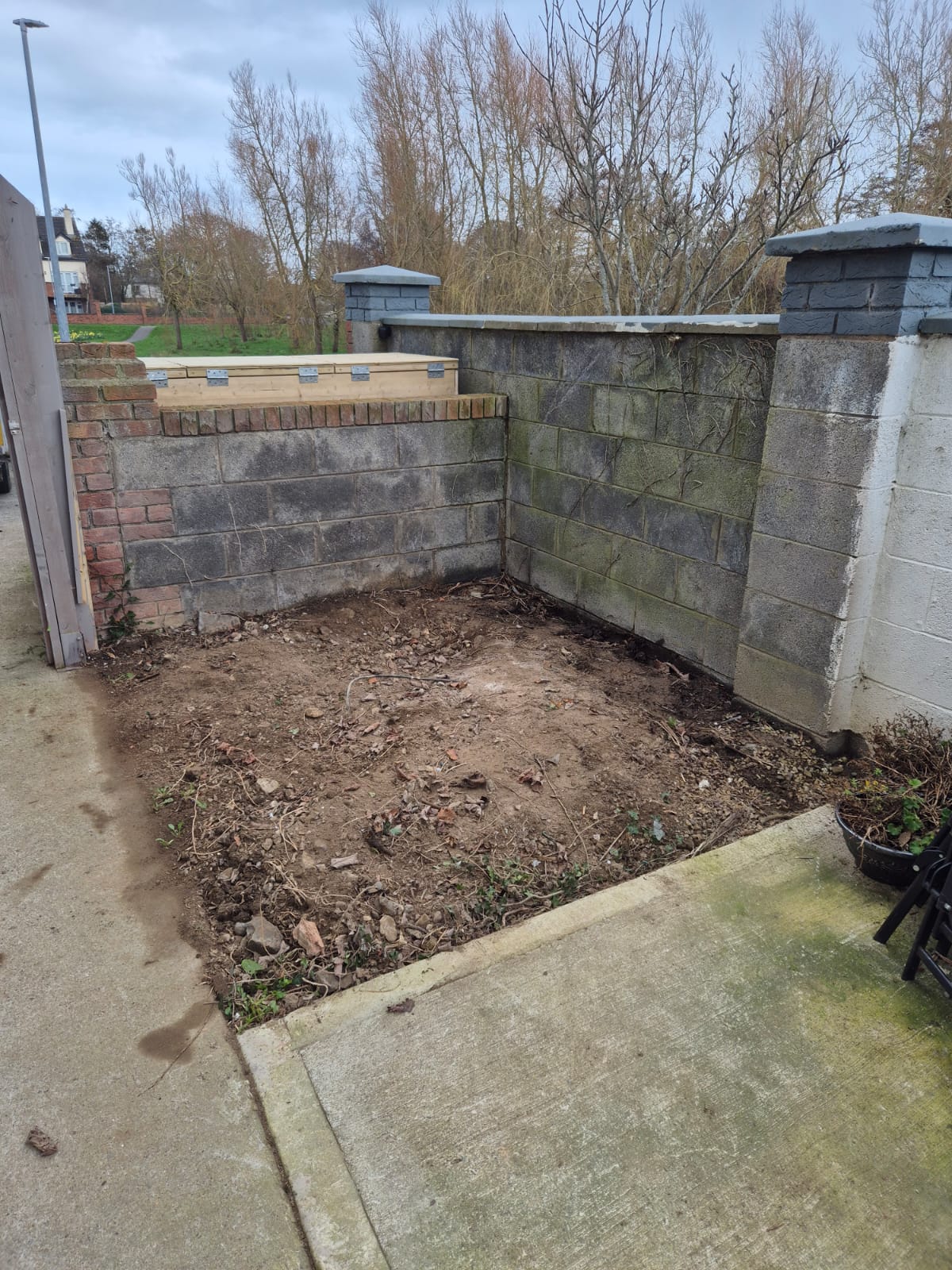 junk masters changes today